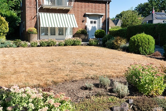 Droogte in de voortuin
