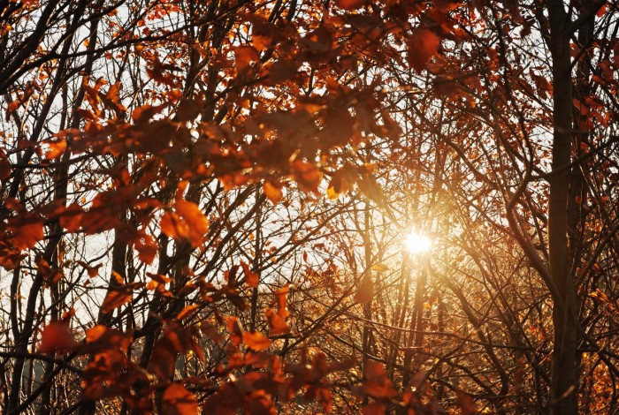 De herfst is in aantocht