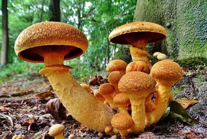 IVN Natuurexcursie - Amersfoort en het water