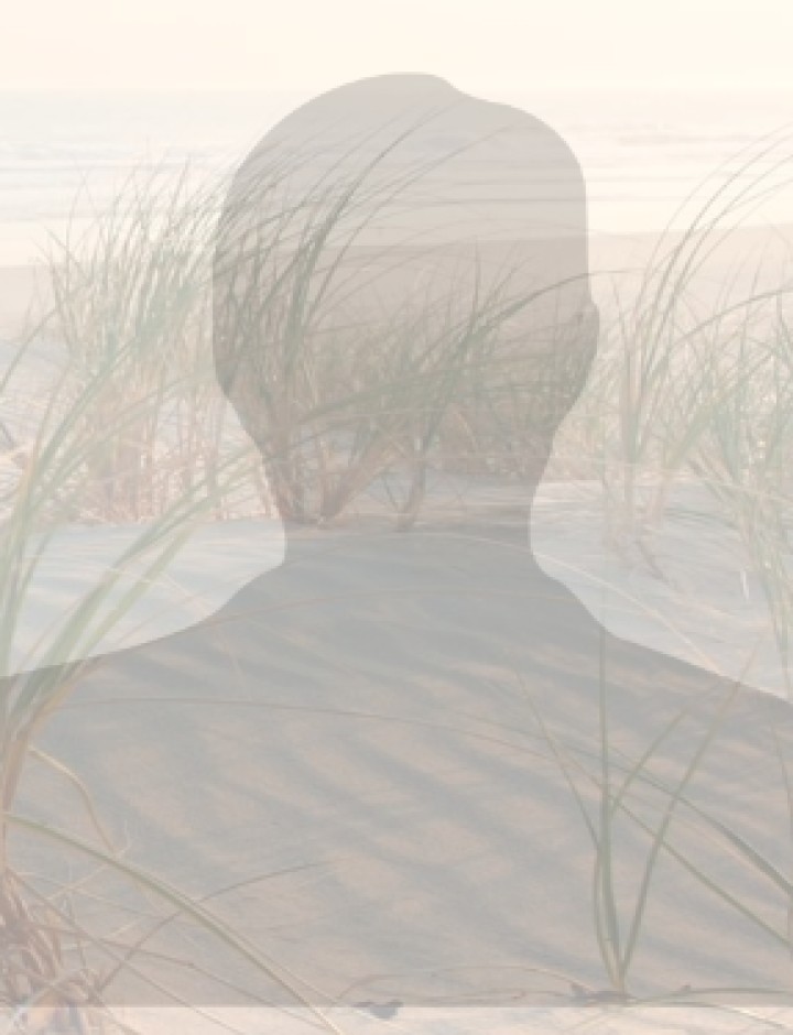 Drs. C. bij 't Vuur