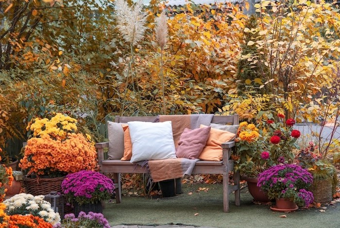 Nazomer in de tuin
