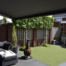 Knikarmscherm in Kesteren