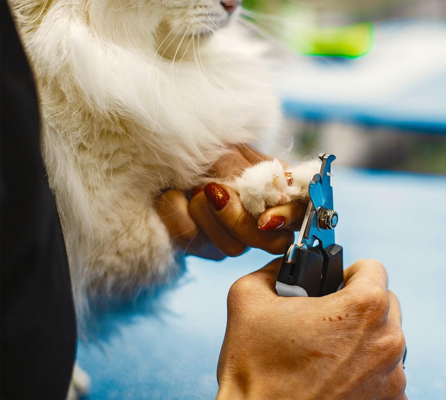 Grooming Claw Clippers