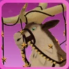 Santa's Reindeer