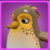 Brown Penguin