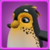 Black Penguin