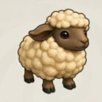 Sheep