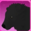 Black Bear