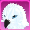 Snowy Owl