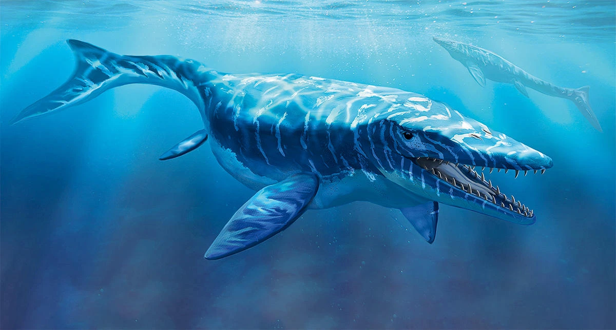 Sea Beast sneak peek in Sailor Piece Sea 2 showing a giant whale-style boss