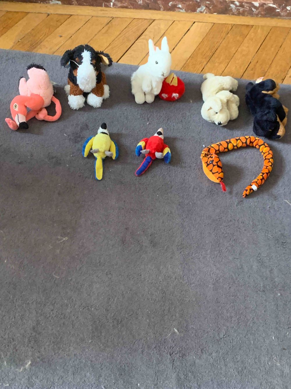 Image item