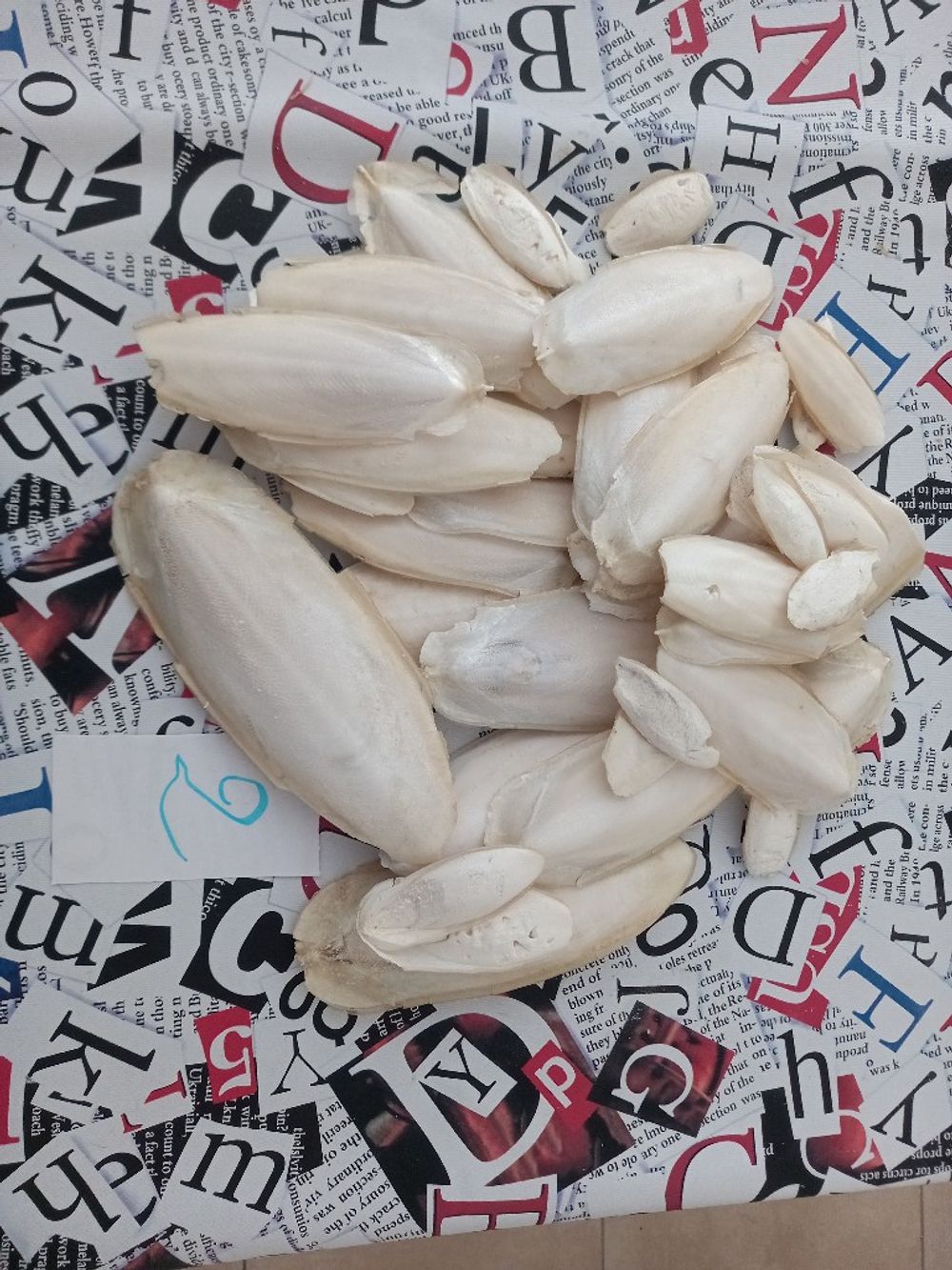 Image item