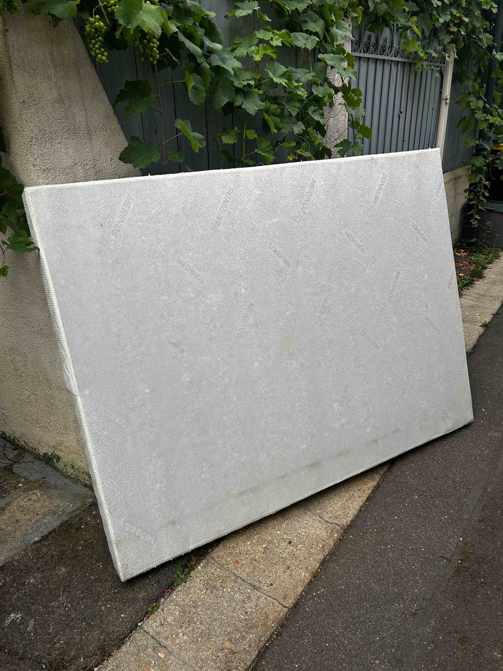 Image item