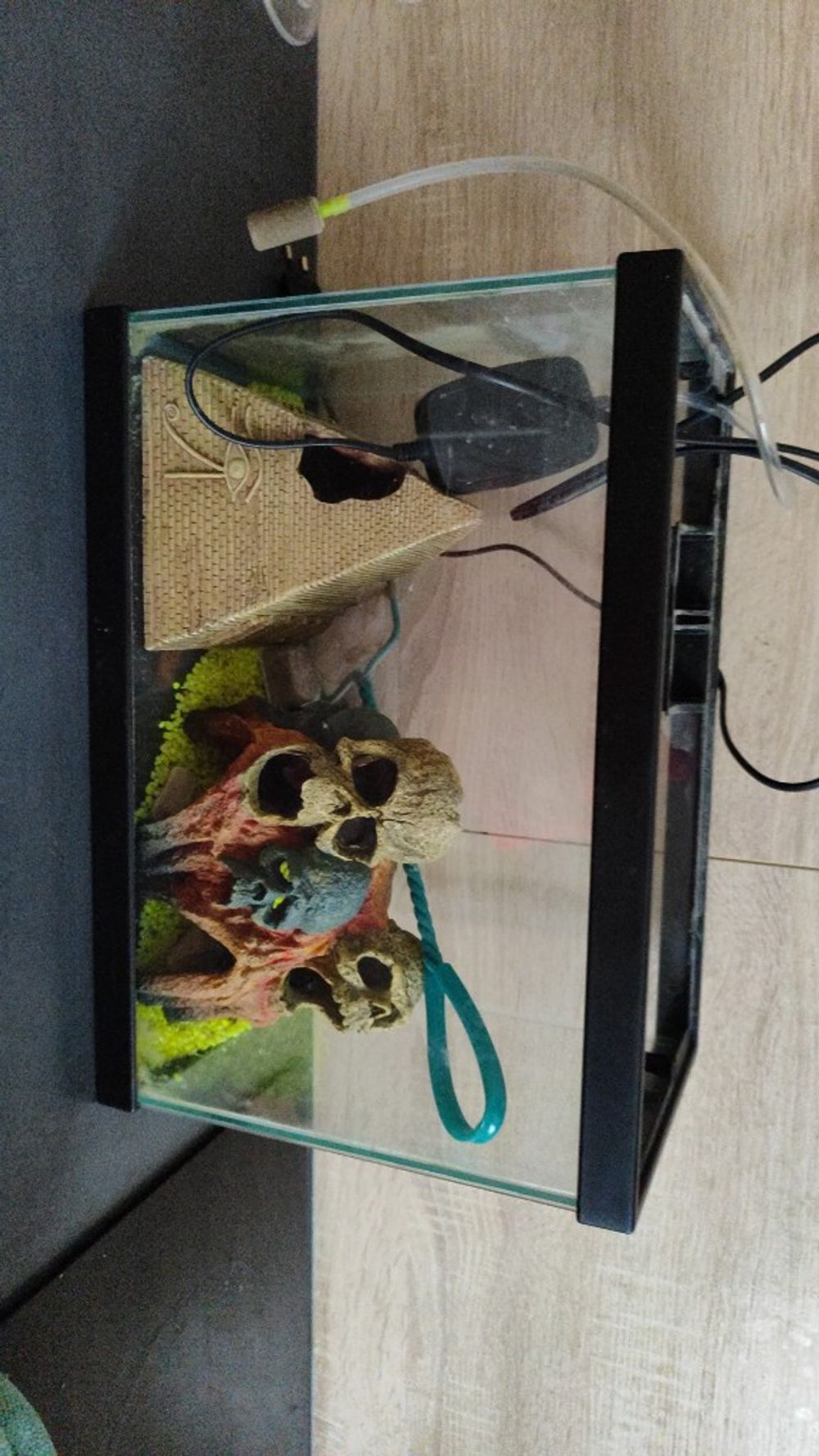 Image item