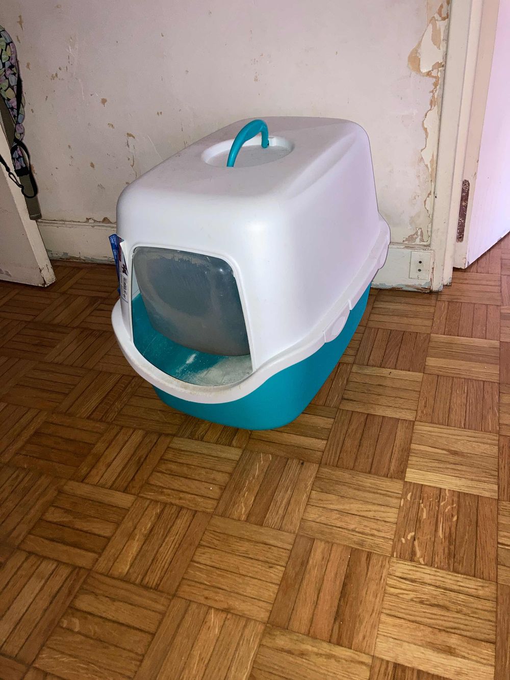 Image item