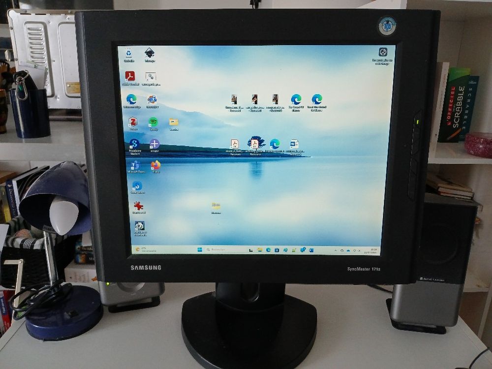 Image item