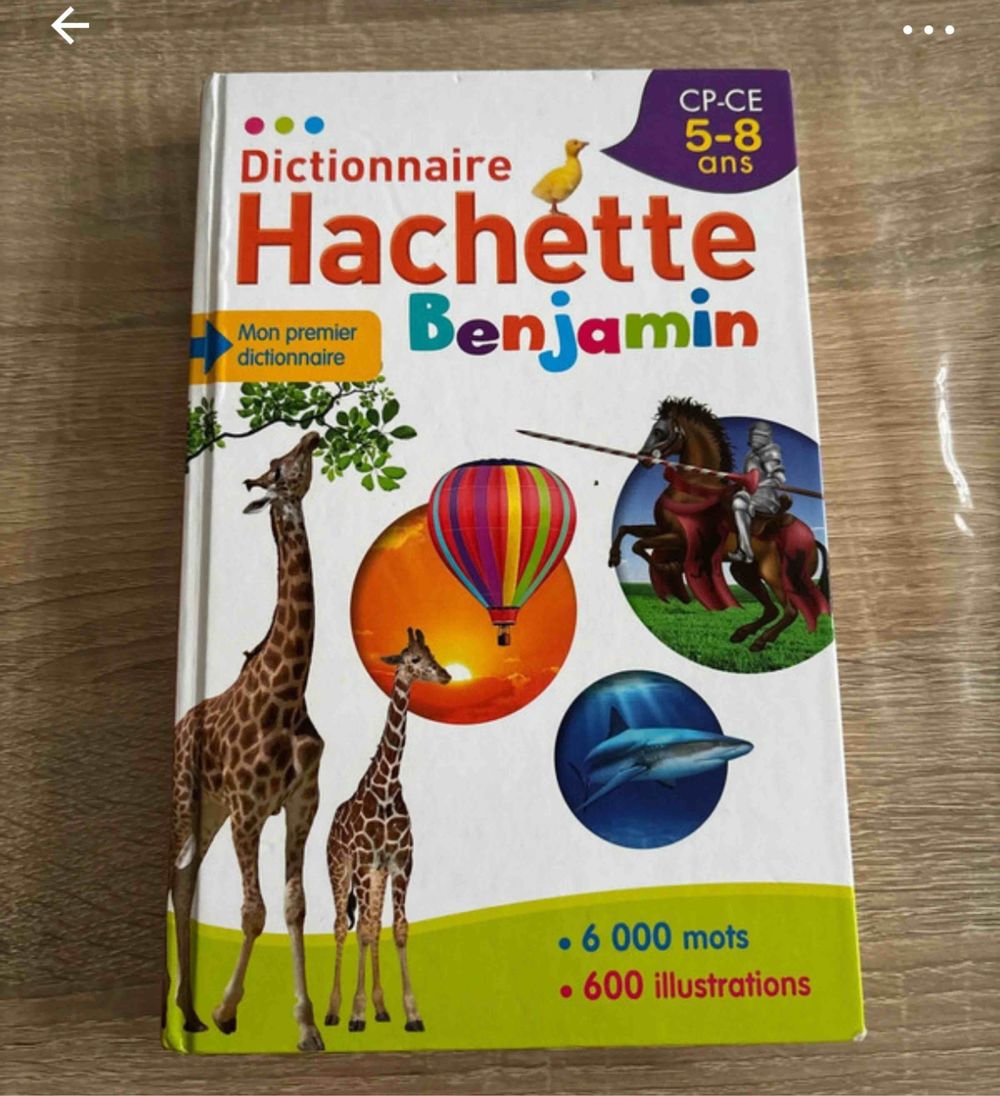 Image item