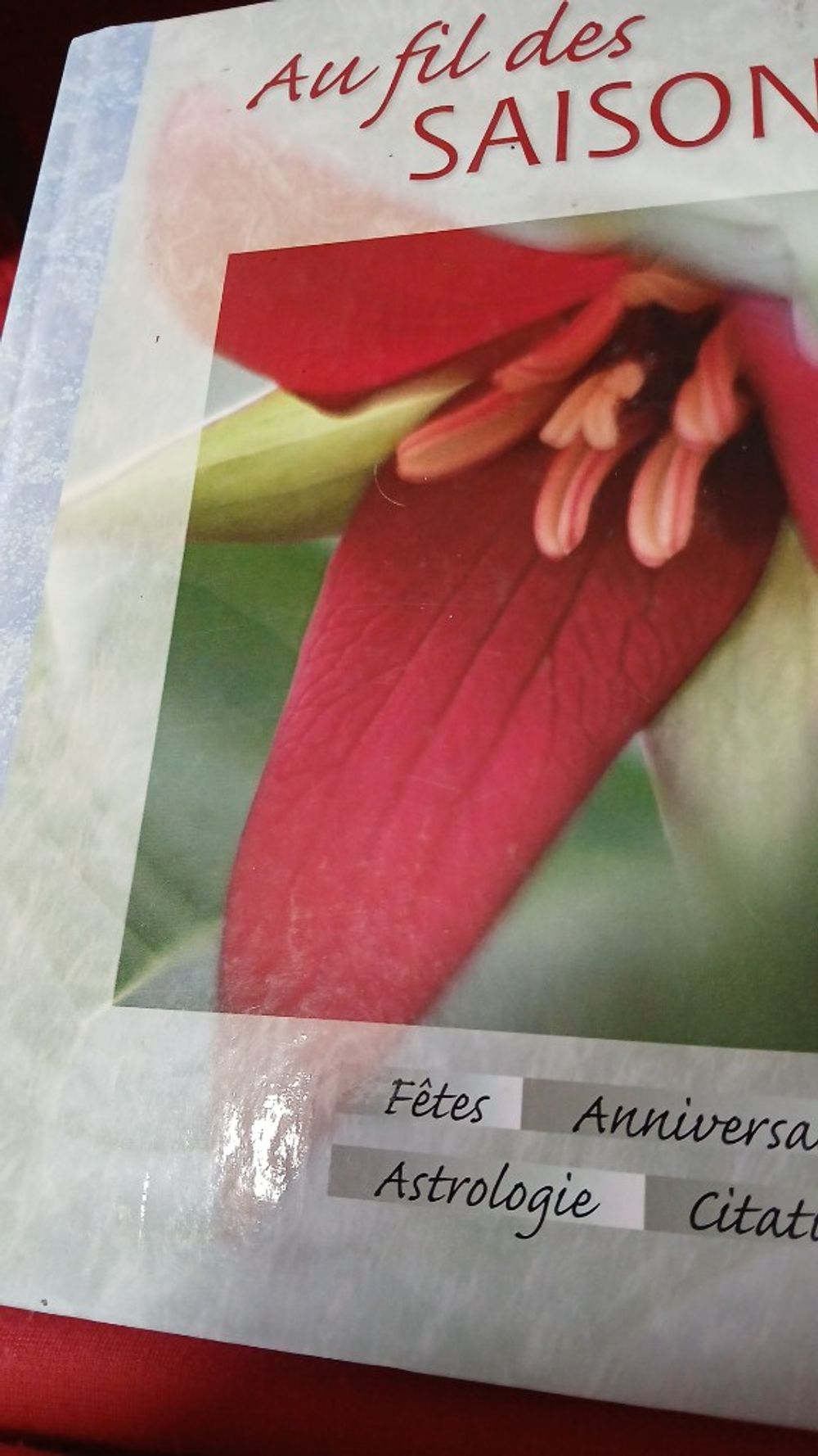 Image item