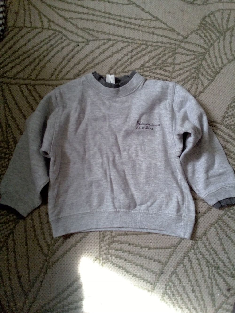 Image item