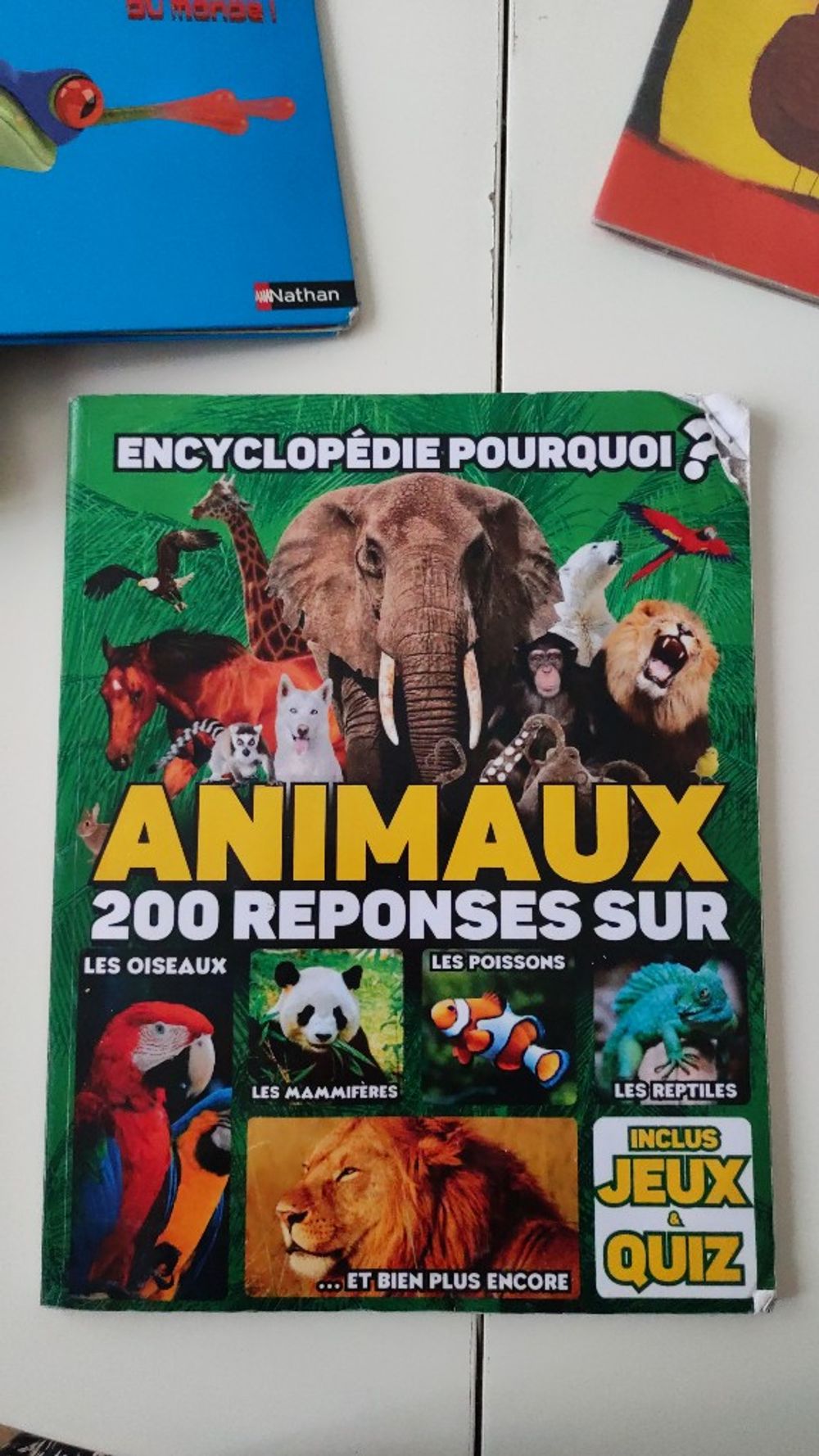 Image item