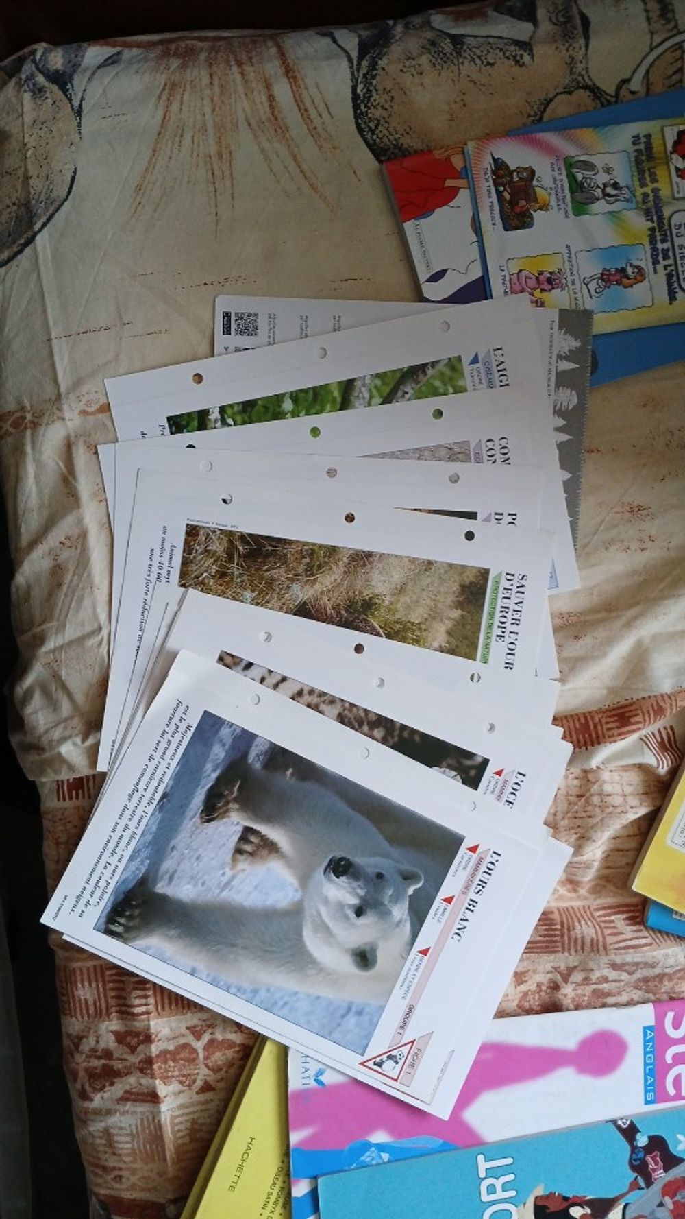 Image item