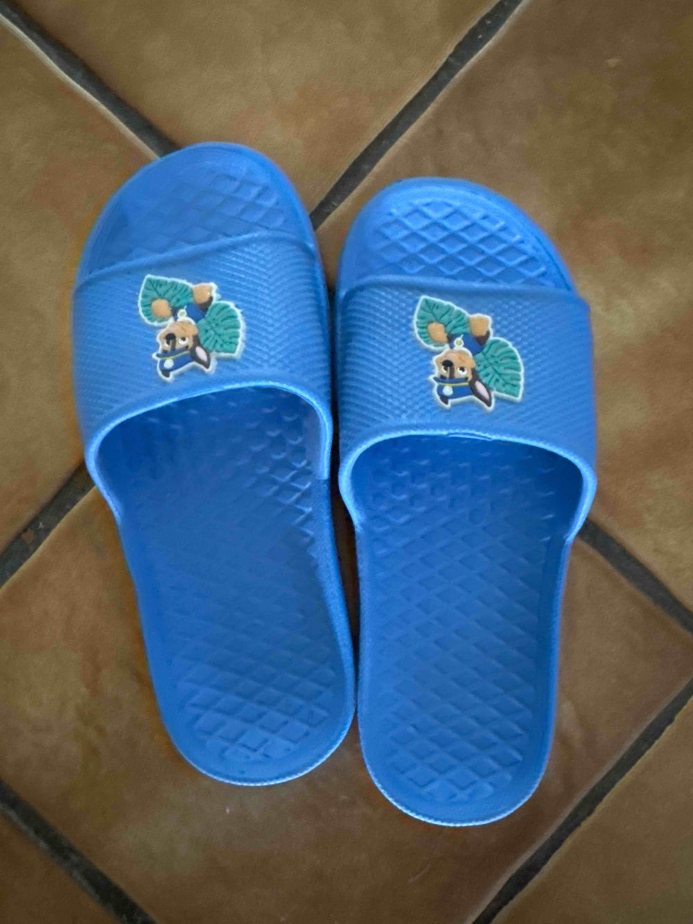 Image item