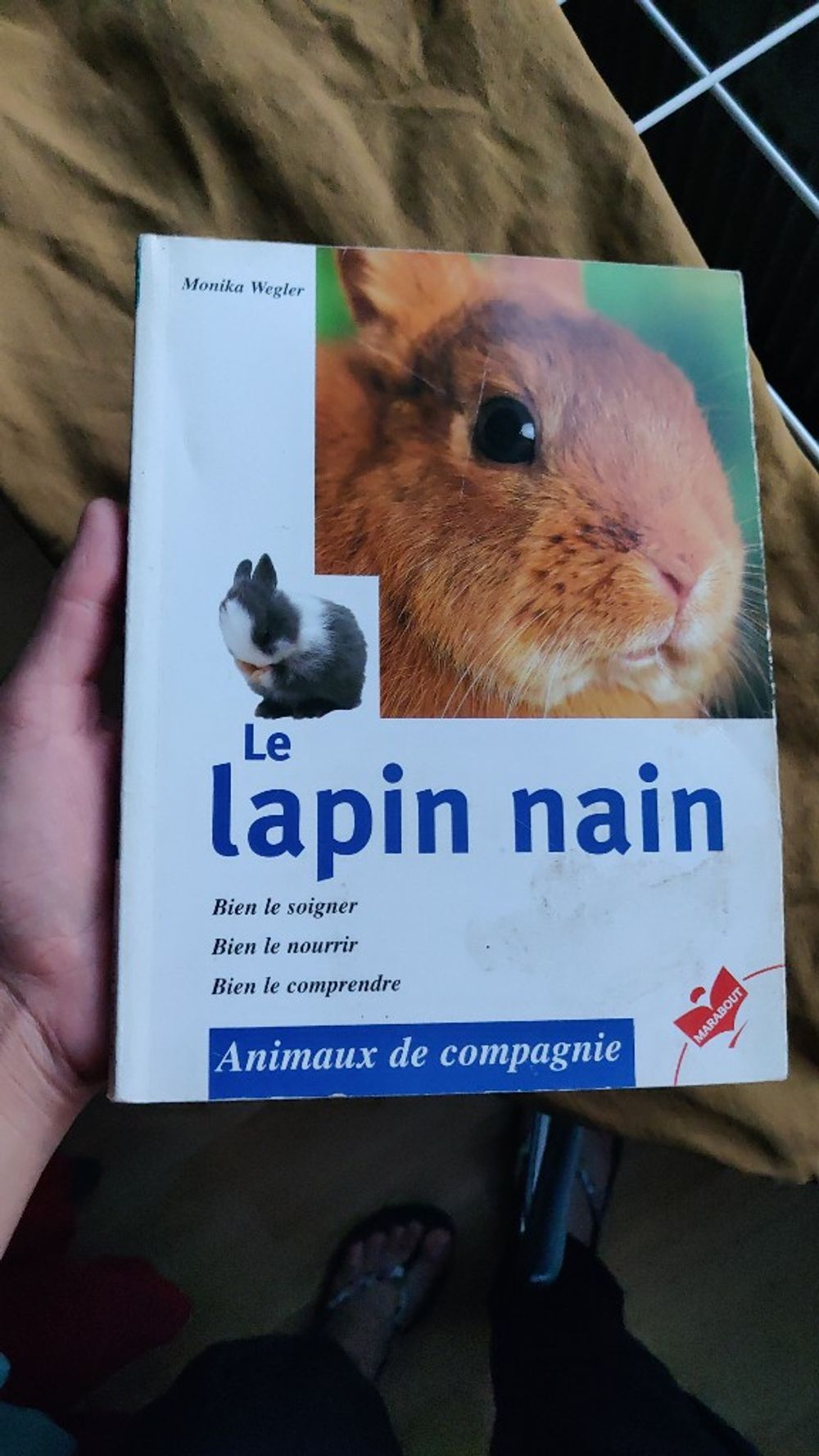 Image item