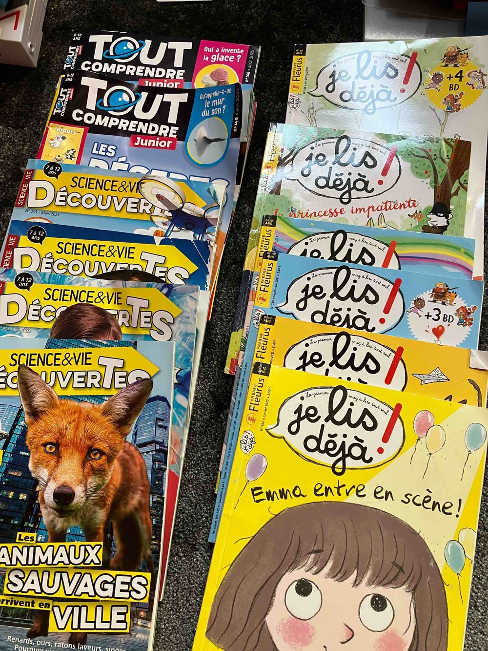 Image item