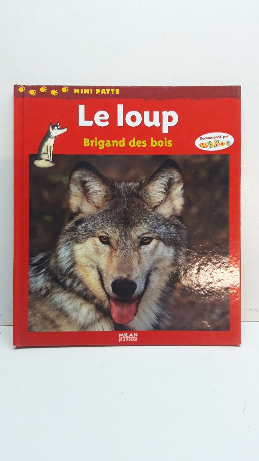 Image item