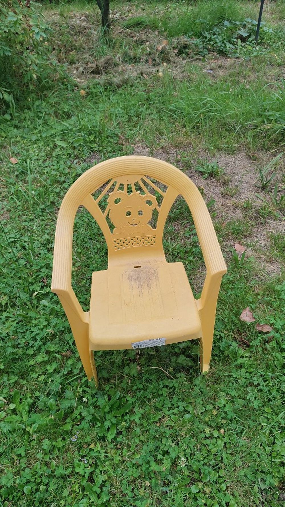 Image item