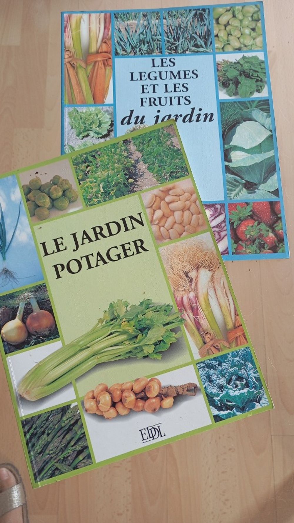 Image item