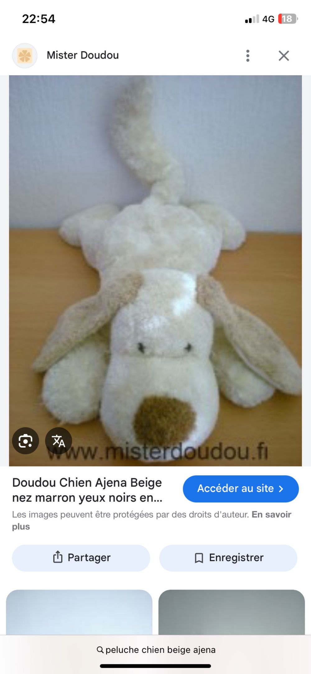 Image item