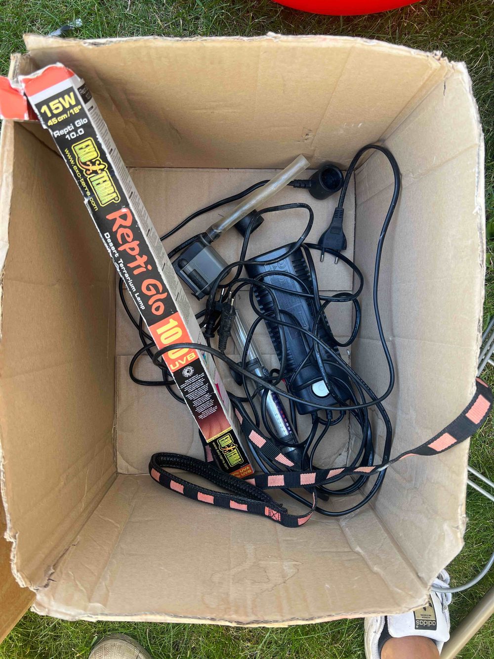 Image item