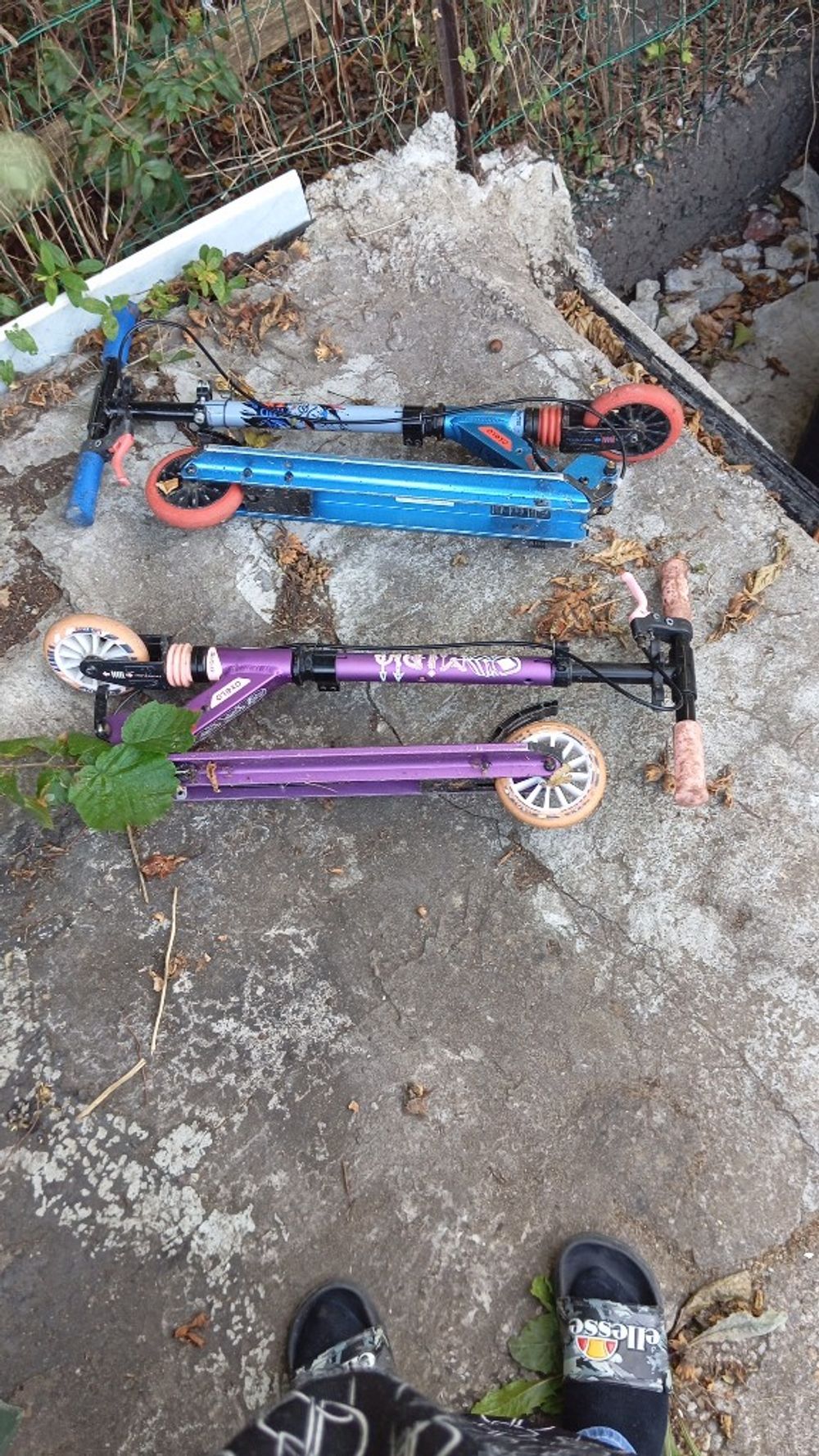 Image item