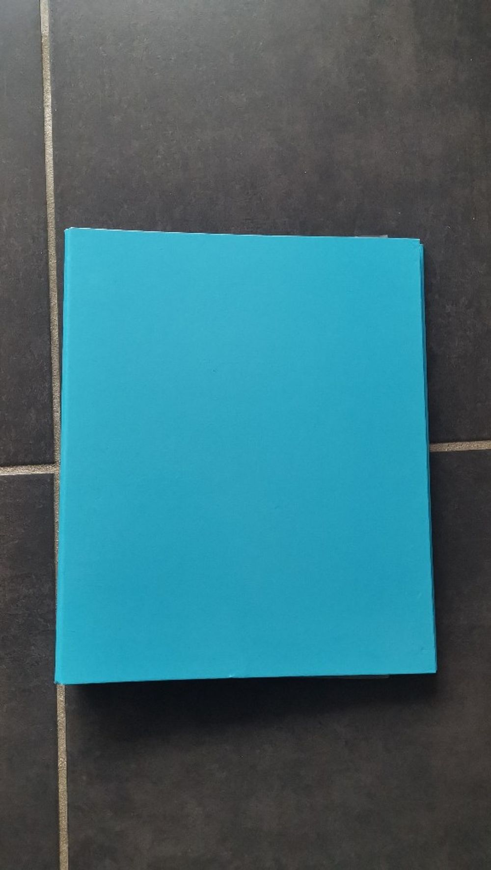 Image item