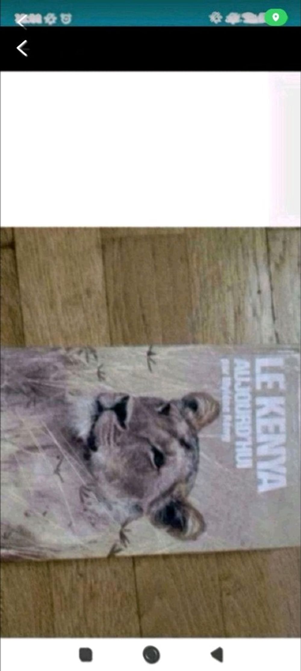 Image item