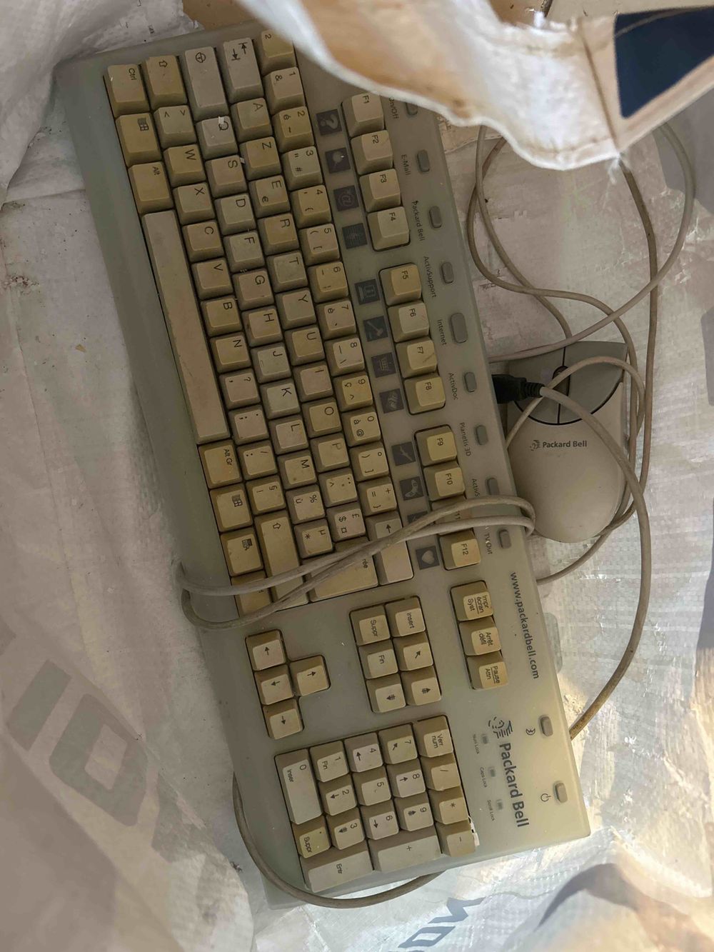 Image item