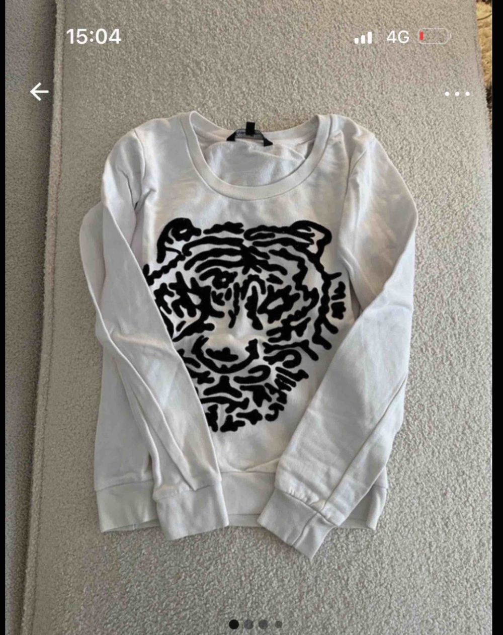 Image item