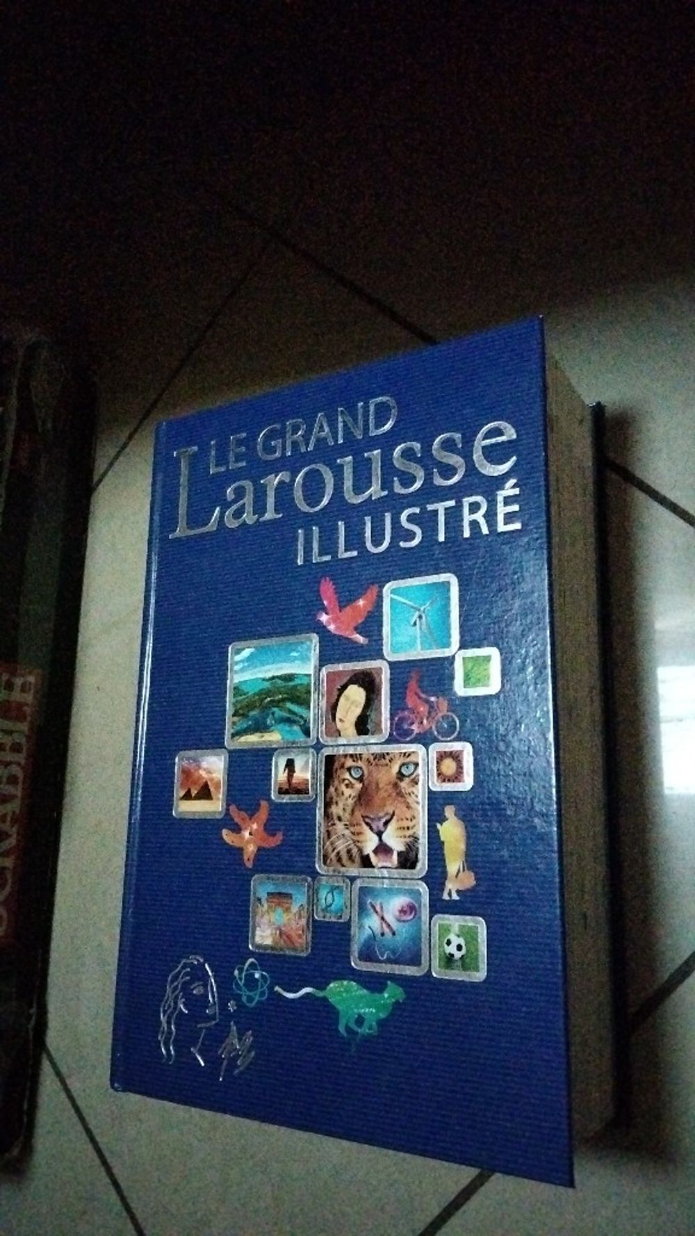 Image item