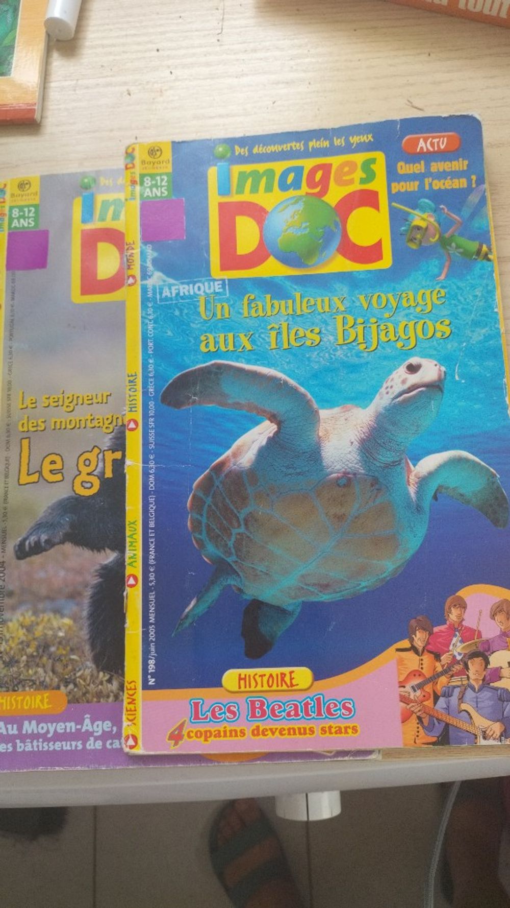 Image item