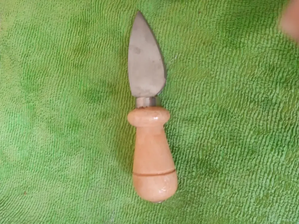 Image item