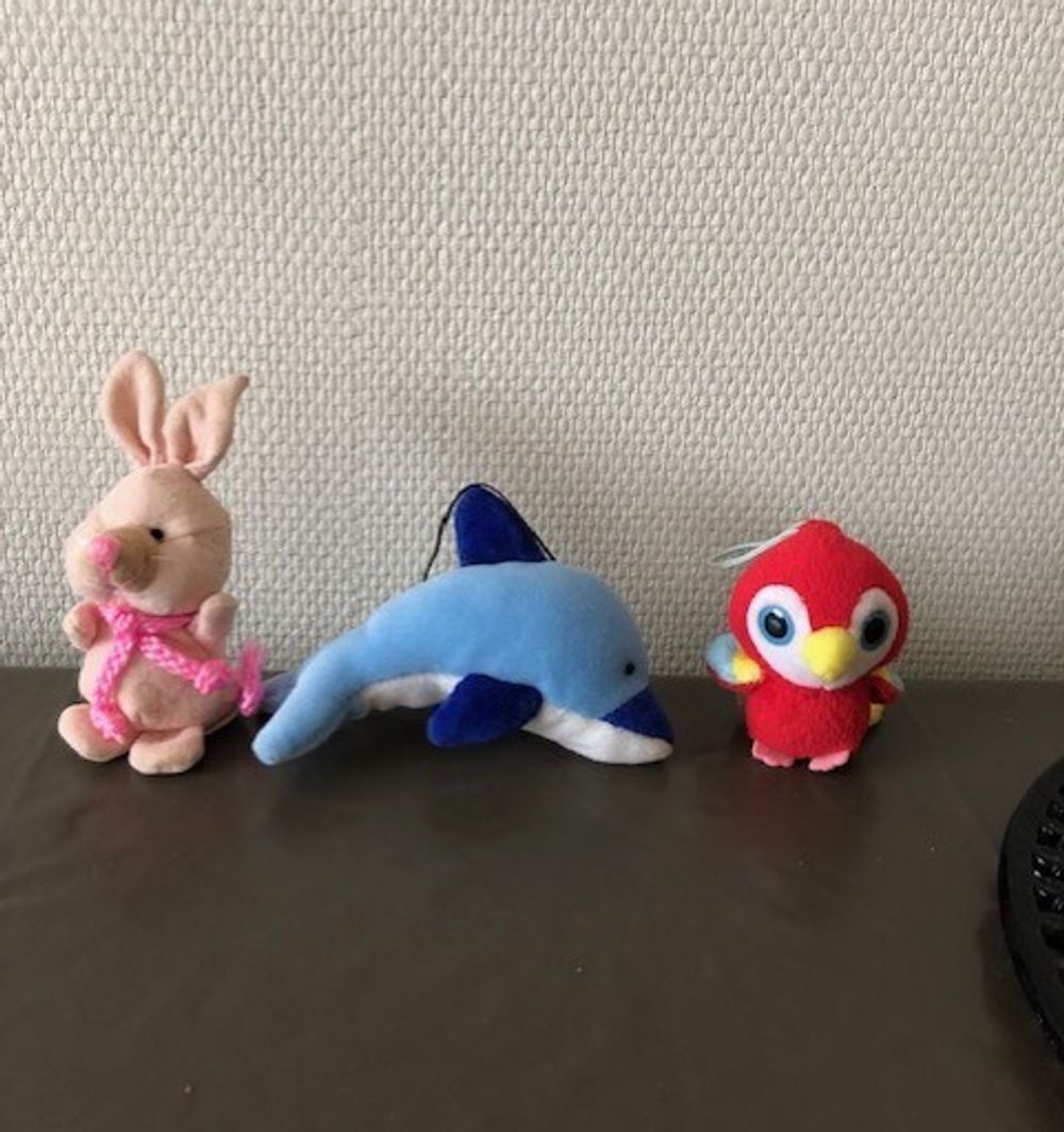 Image item