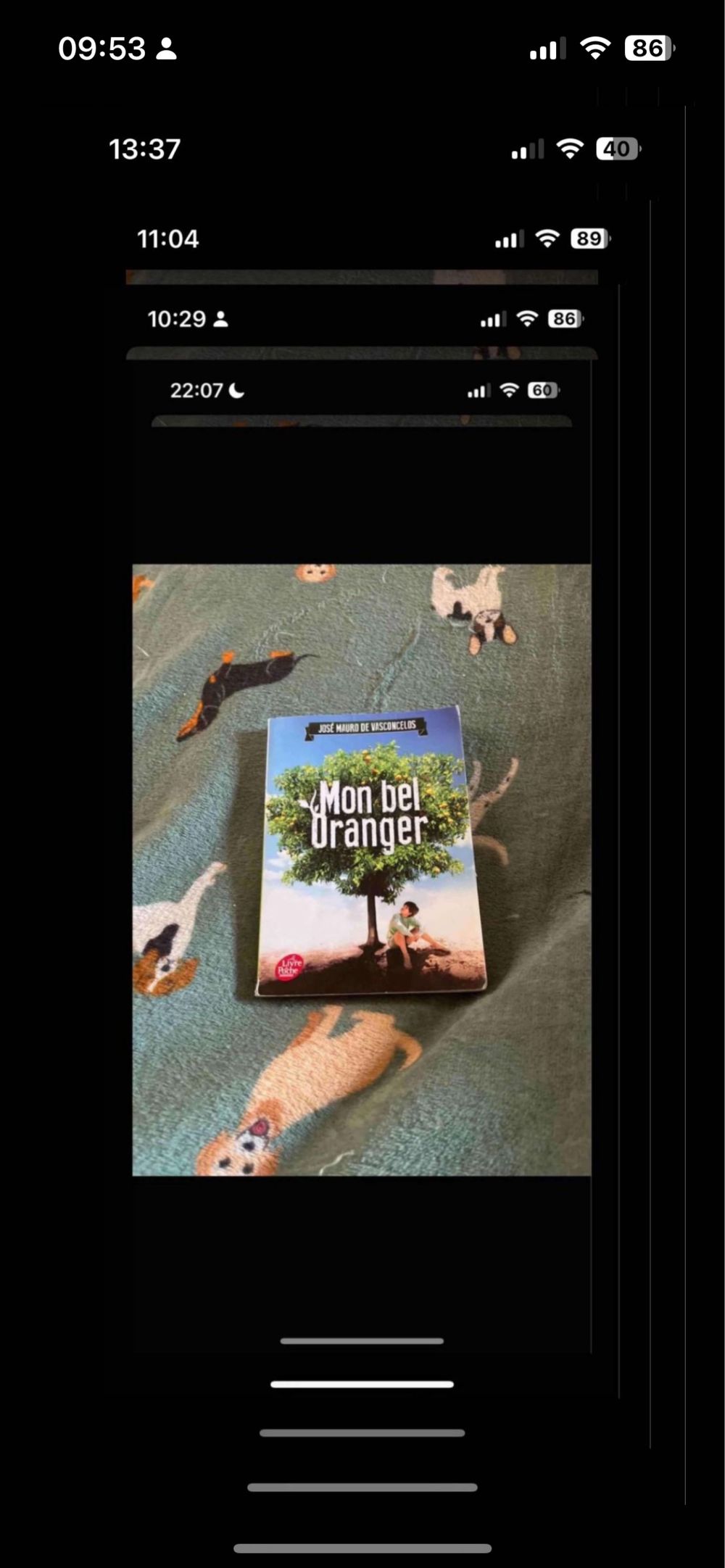 Image item