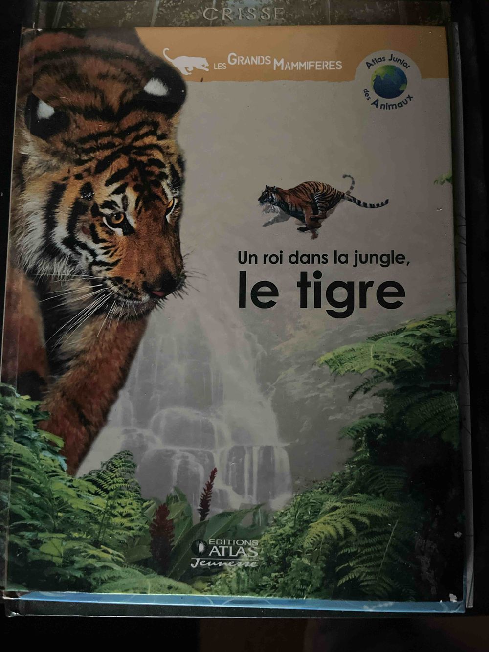 Image item