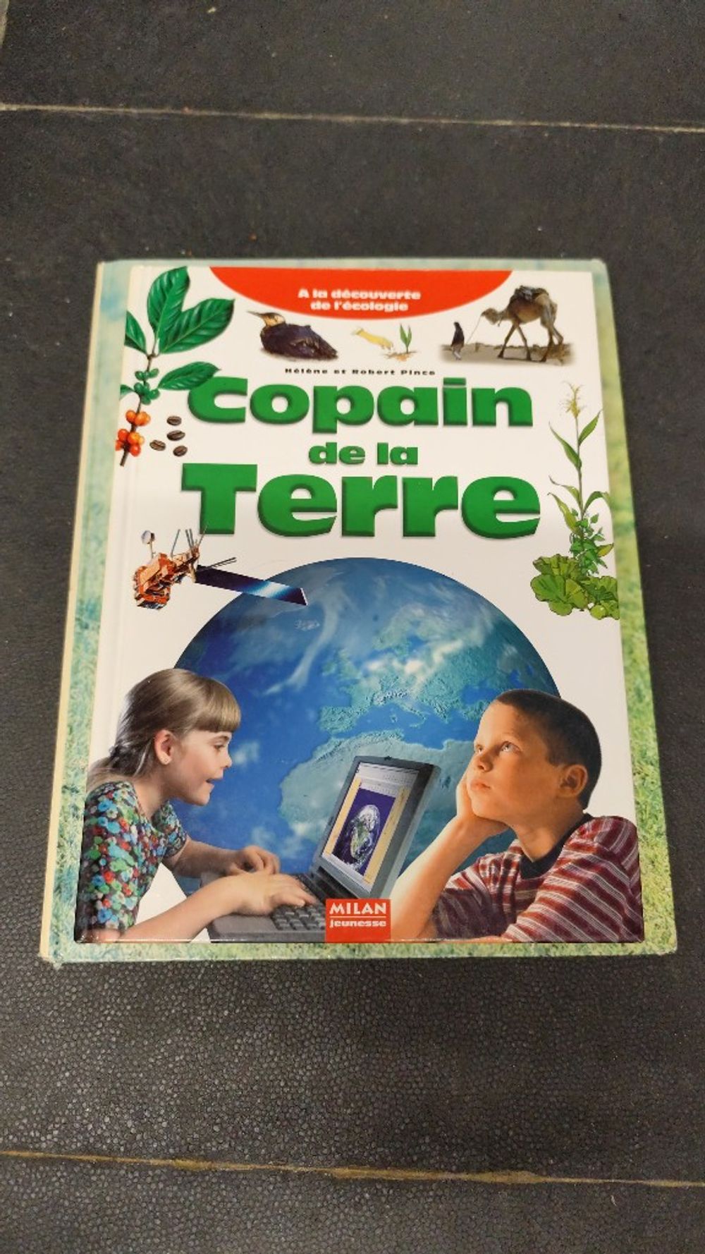 Image item