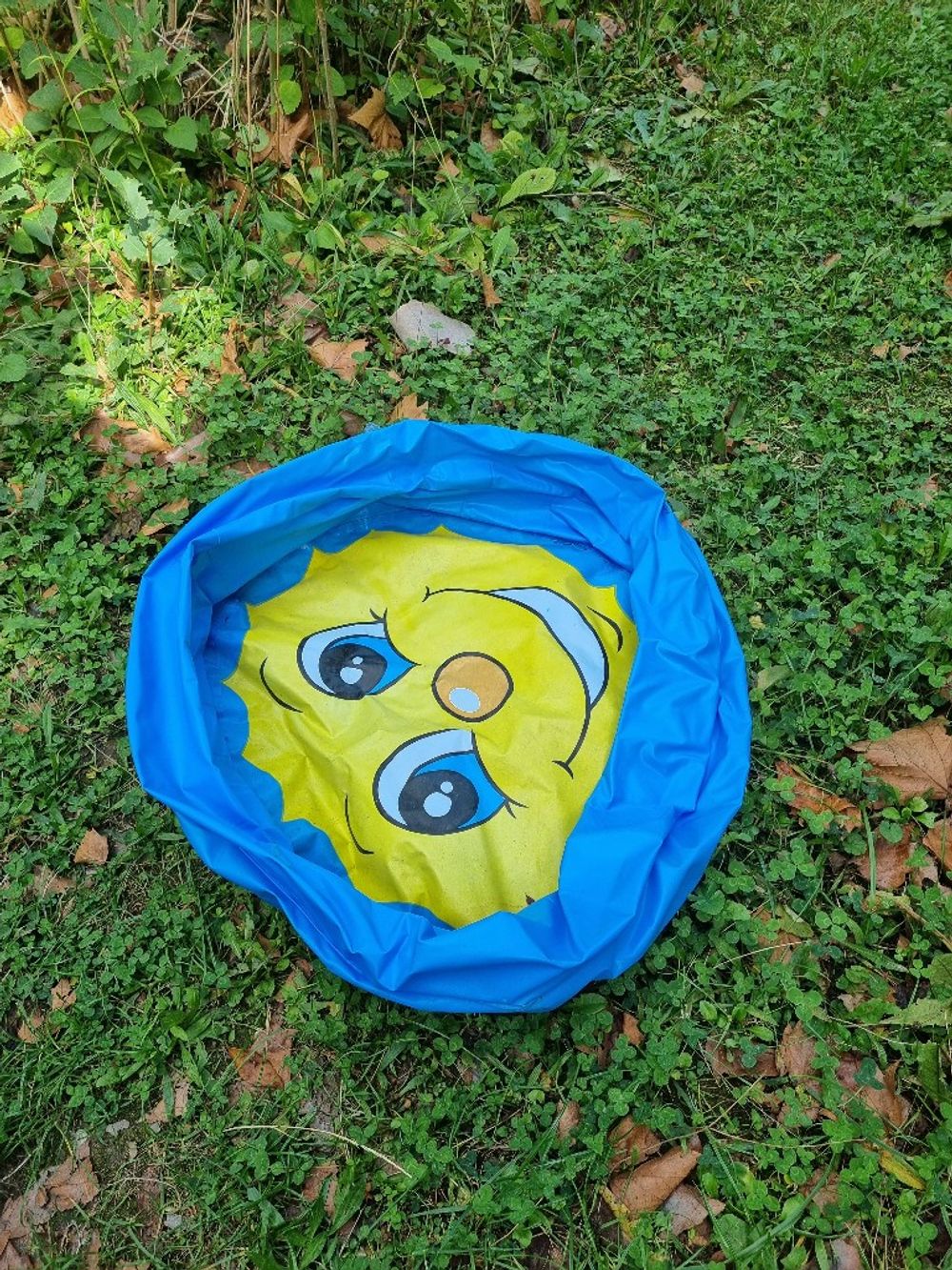 Image item