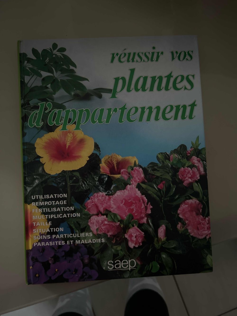 Image item