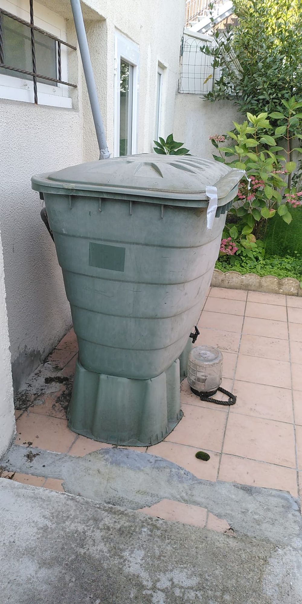 Image item