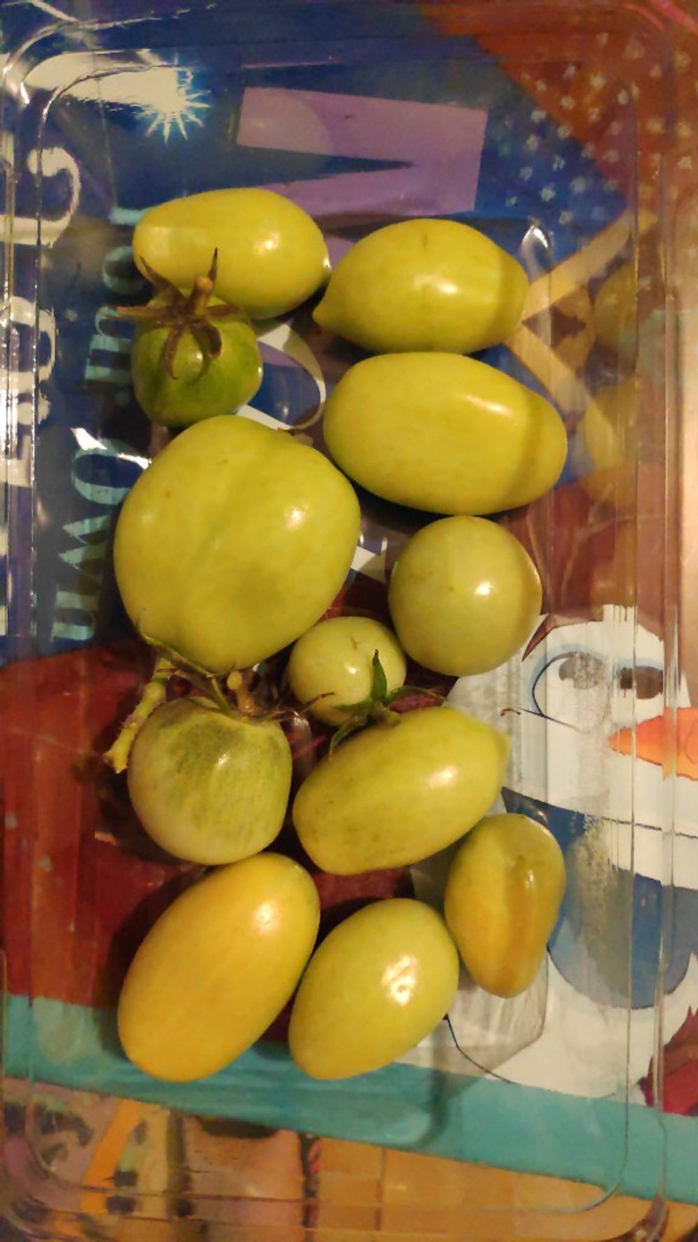 Image item