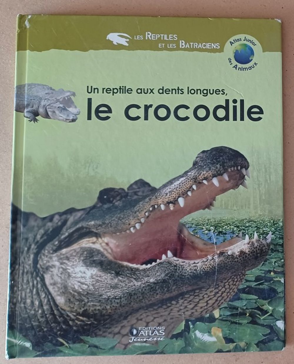 Image item
